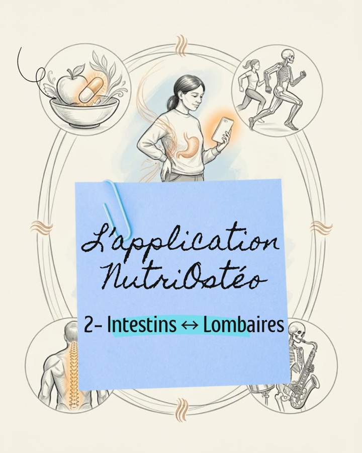 Illustration NutriOstéo sur les intestins et la région lombaire