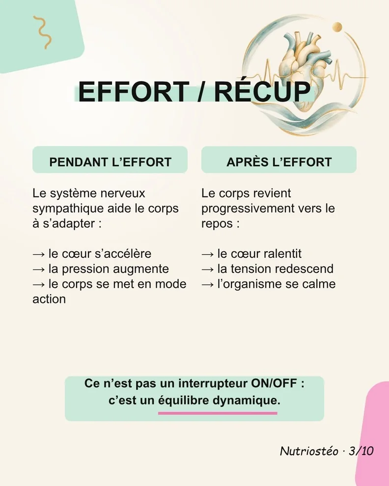 Diapositive 3 sur 10 : Effort et repos : un équilibre dynamique